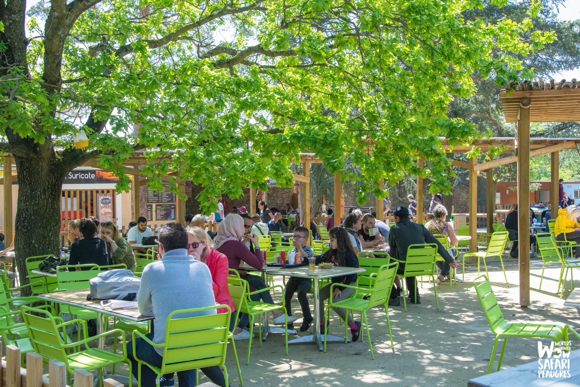 Tables ombragé pour manger au Wow Safari Peaugres