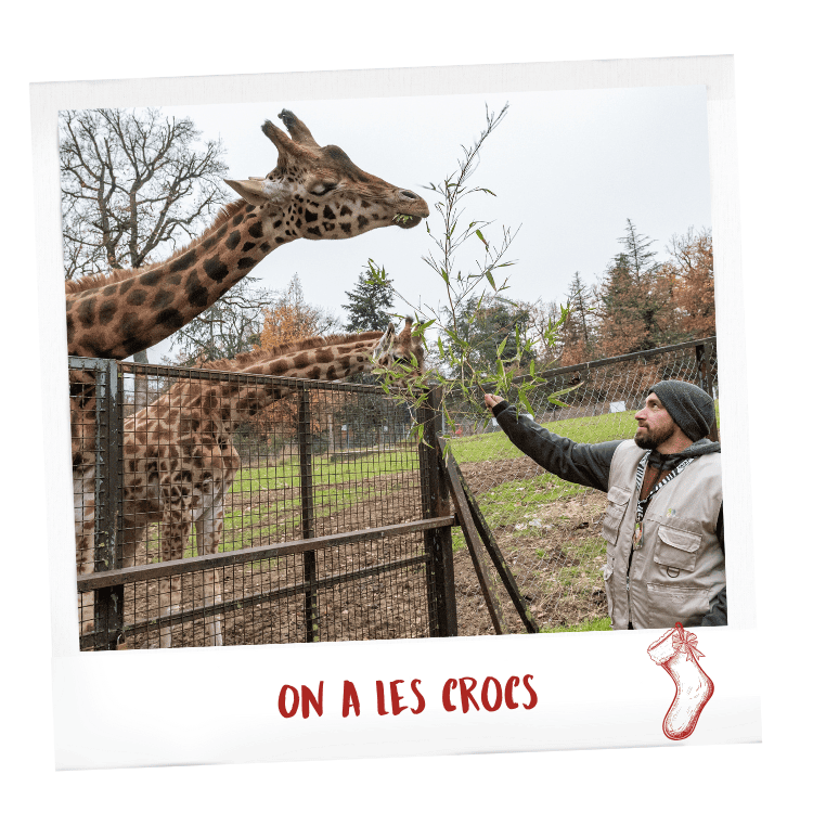 idées cadeaux noël animaux