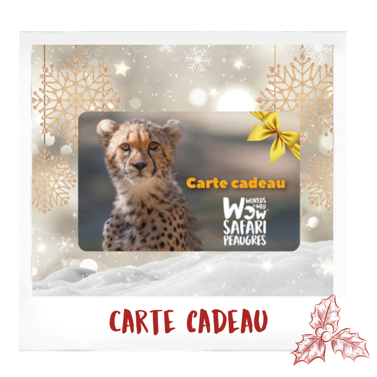 Idées cadeau du Wow Safari Peaugres : carte cadeau