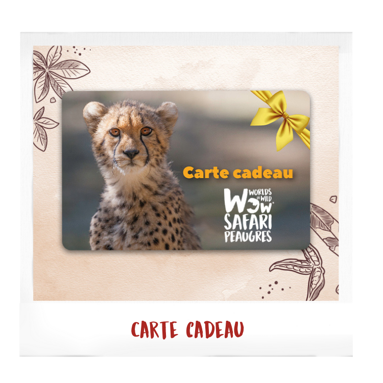 Offrez une carte cadeau au Wow Safari Peaugres 