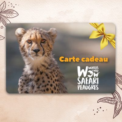 Carte cadeau Wow Safari de Peaugres à partir de 50€