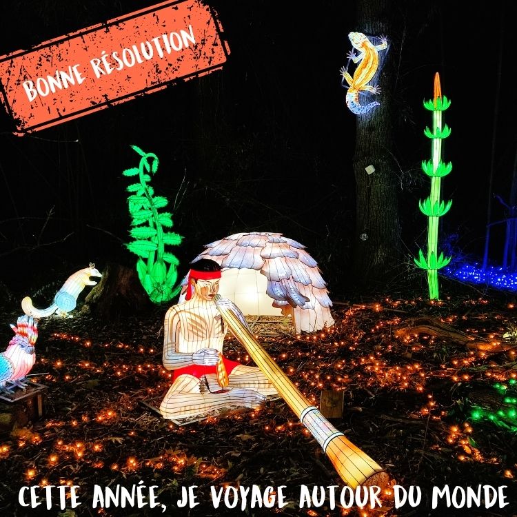  Festival des Lumières Sauvages